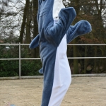 DSC_8827.jpg